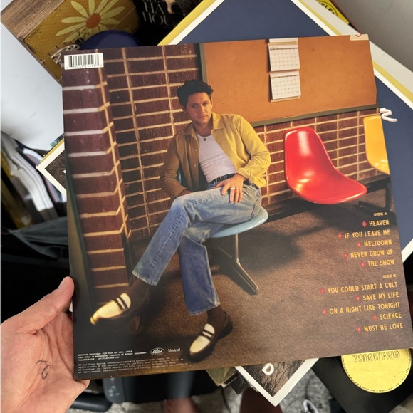 niall horan the show vinyl - Picture 2 of 3